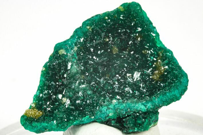 Sparkling Dioptase Epimorph with Mimetite- N'tola Mine, Congo #209668